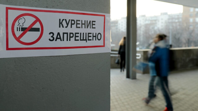 uchenye-soobshhili-o-riske-ozhirenija-u-vnuchek-i-pravnuchek-kurjashhih-muzhchin-b65ada7