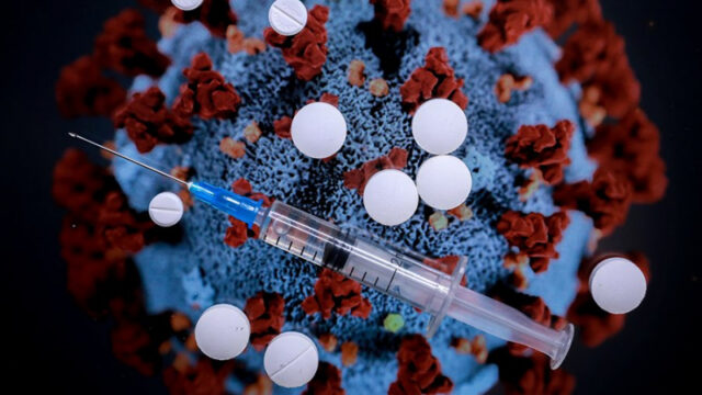 gincburg-zajavil-ob-effektivnosti-gamkovimaba-protiv-stels-omikrona-8ab6cc1