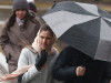 В Москве ветер повалил 35 деревьев