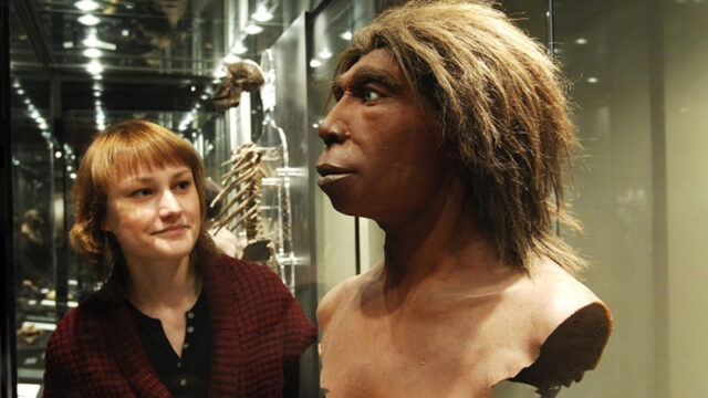 opredelena-narodnost-rossii-s-naibolshim-chislom-genov-neandertalcev-1d11330