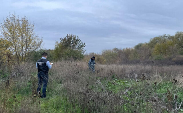 v-rostovskoj-oblasti-nashli-ubitoj-12-letnjuju-devochku-da2c1f2