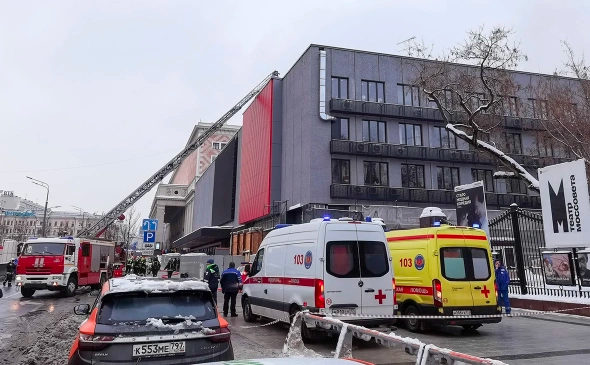 
                    В Китае ученым удалось клонировать телят двух пород

                