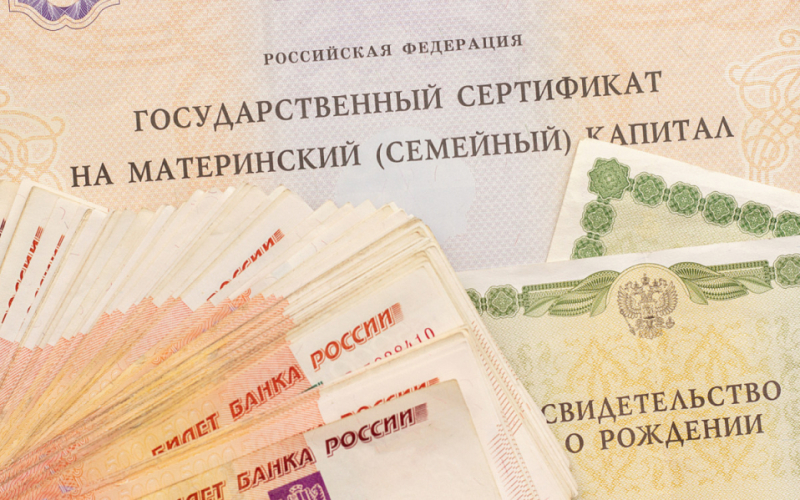 
                    В Китае ученым удалось клонировать телят двух пород

                