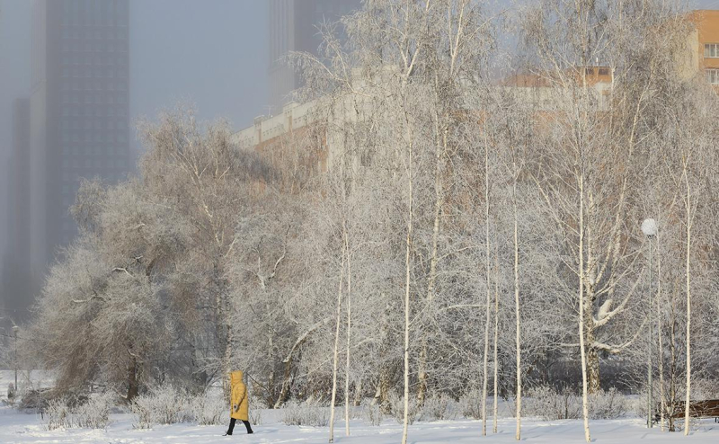 МЧС рассказало, сколько продлится ледяной дождь в Москве