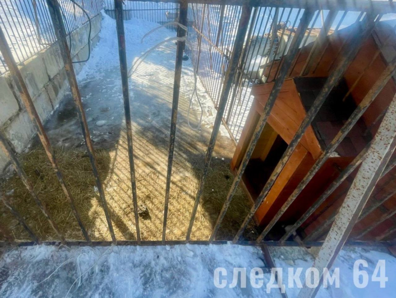 В Петербурге в жилом доме упал лифт, в который зашли 15 человек