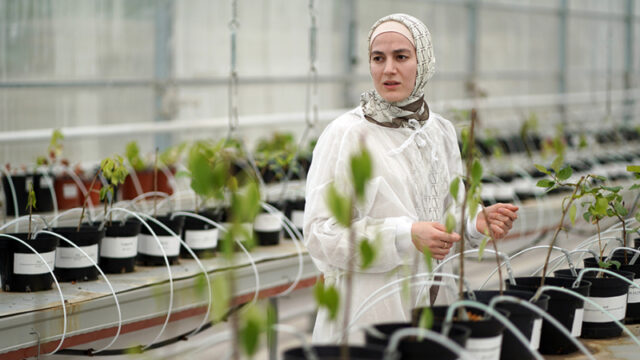 chechenskie-uchenye-sozdajut-fermy-dlja-sokrashhenija-vybrosov-co2-1d152cb