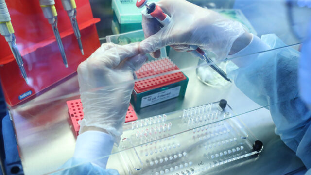 novyj-preparat-vylechit-ustojchivyj-k-antibiotikam-tuberkulez-841c3e3