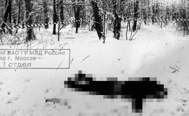 Бастрыкин затребовал доклад о расследовании убийства девочки в Кузбассе