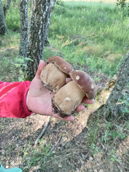 Пассажиры выпали на дорогу перед столкновением трамваев. Видео