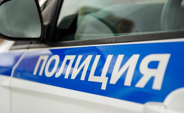 
                    В Германии полиция провела операцию против организации &laquo;интернет-троллей&raquo;

                